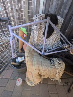 Surly Preamble Frame