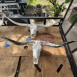 Longhorn Skull Wall Decor