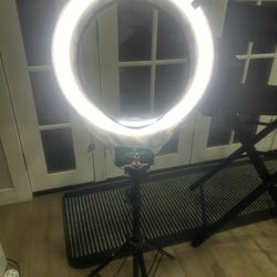 Diva Ring Light 