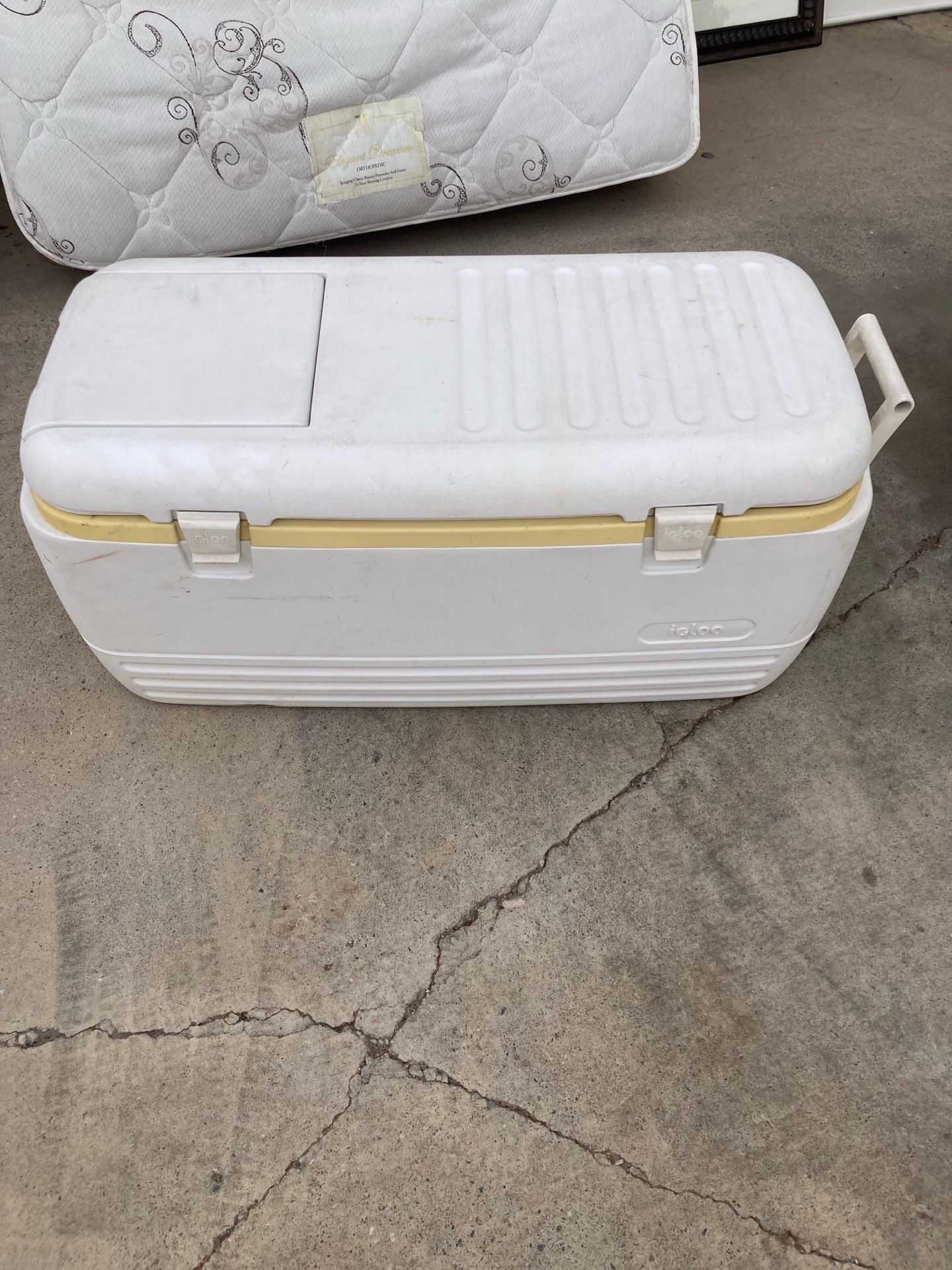 Cooler