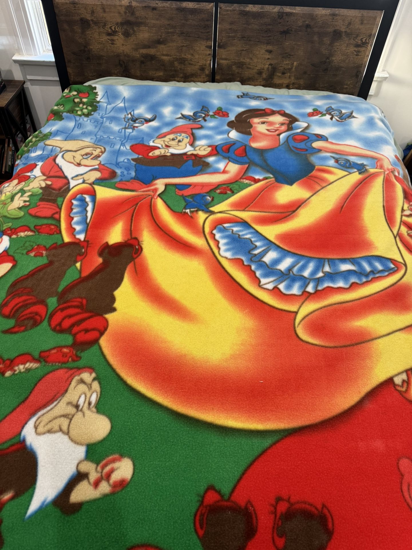 Vintage Disney Throw Blanket