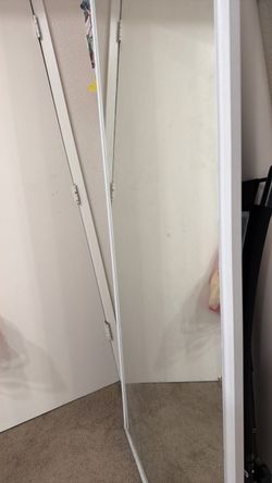 Mirror door