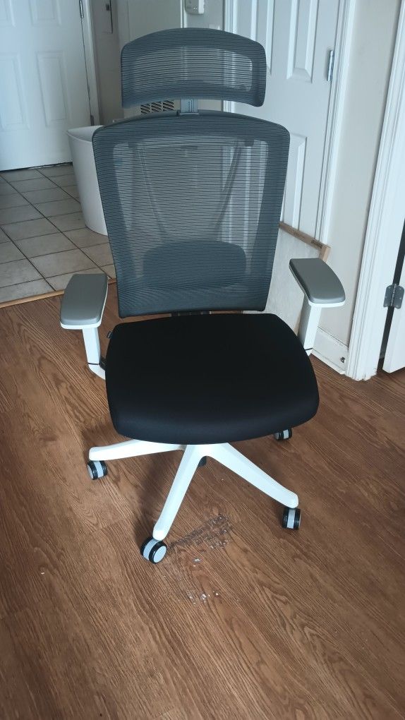 Autonomous Ergo Chair Pro Excellent Condition