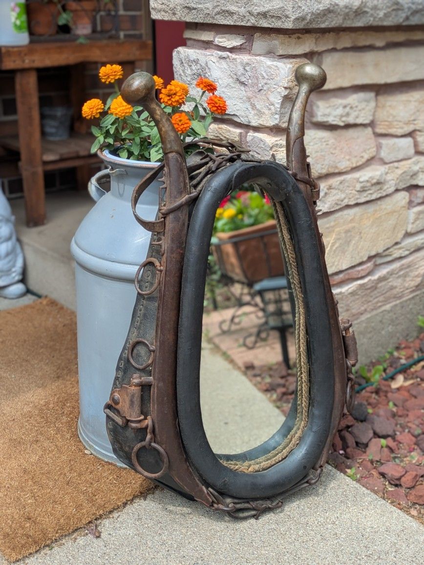 Vintage Unique Horse Equestrian Yolk Collar With Mirror