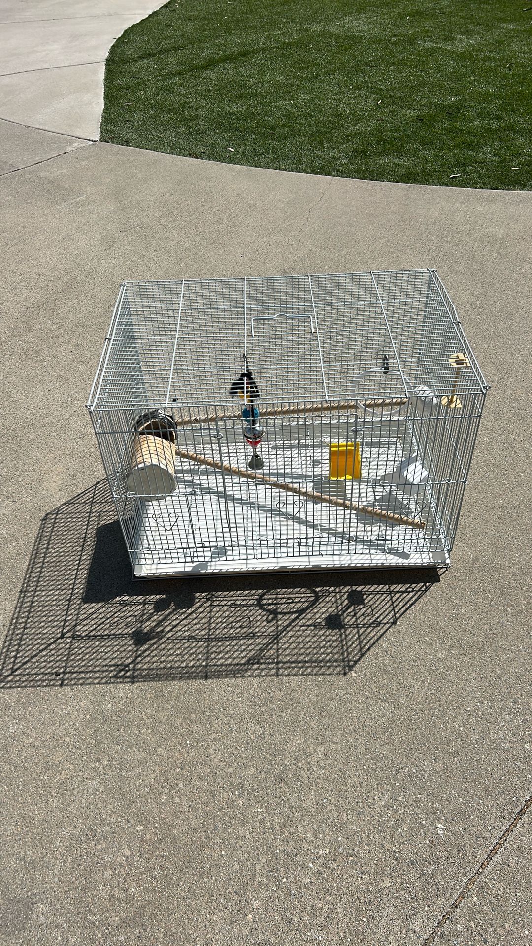 Bird Cage
