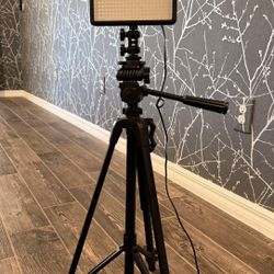 Video/ photo lights