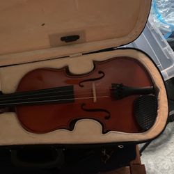 Violin Only 