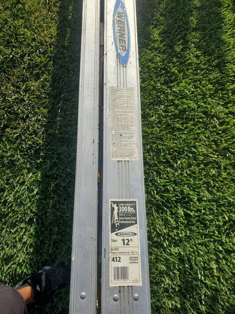 12 Ft Werner Ladder