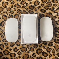 Magic Mouse