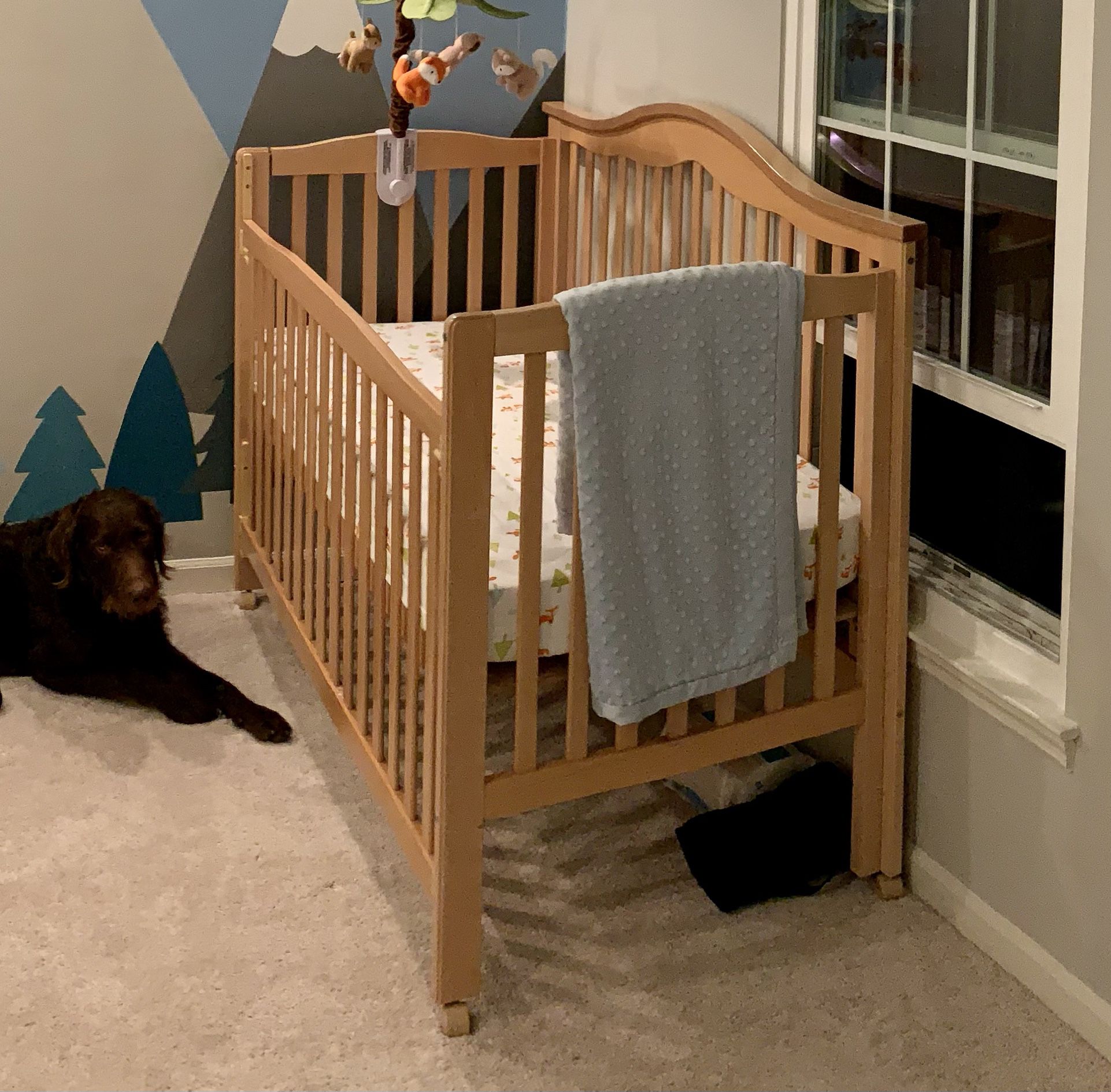 Crib - FREE. Convertible To Three-sided Toddler Bed