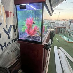 Fish Tank And Stand 