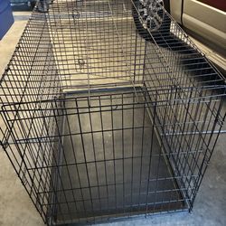 Large dog crate