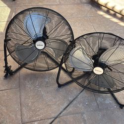 Two fans