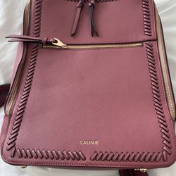 Calpak Laptop Backpack