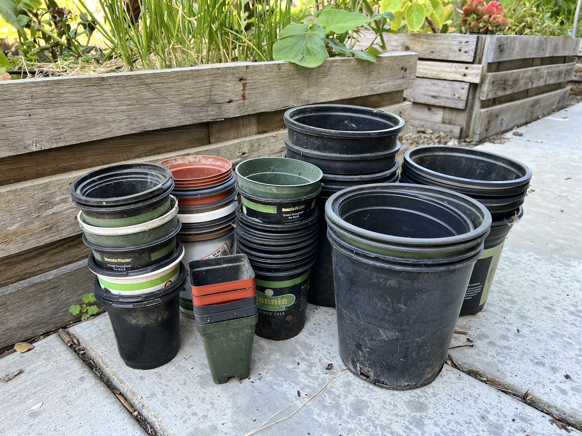 Planting Pots - Various Sizes (ranging From 4 Inches To 1 Gallons)