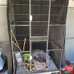 Cleaning retailers sugar glider cage