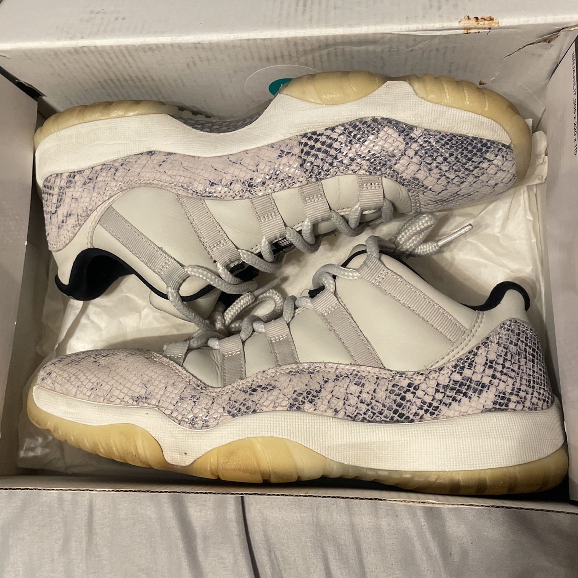 Snake Skin 11s