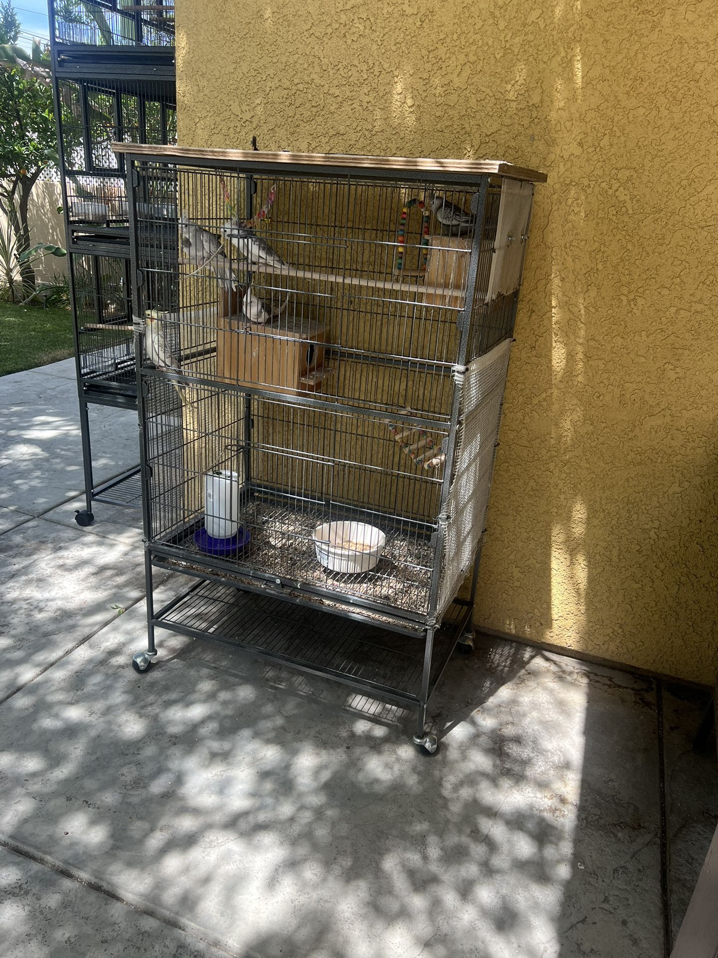 Bird Cage
