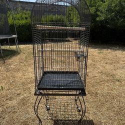 Big Bird Cage