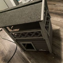 Cat House 