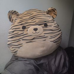 Squishmallows Tina the Tiger