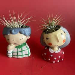 Sacculent Small Planter With Air Plants Included 