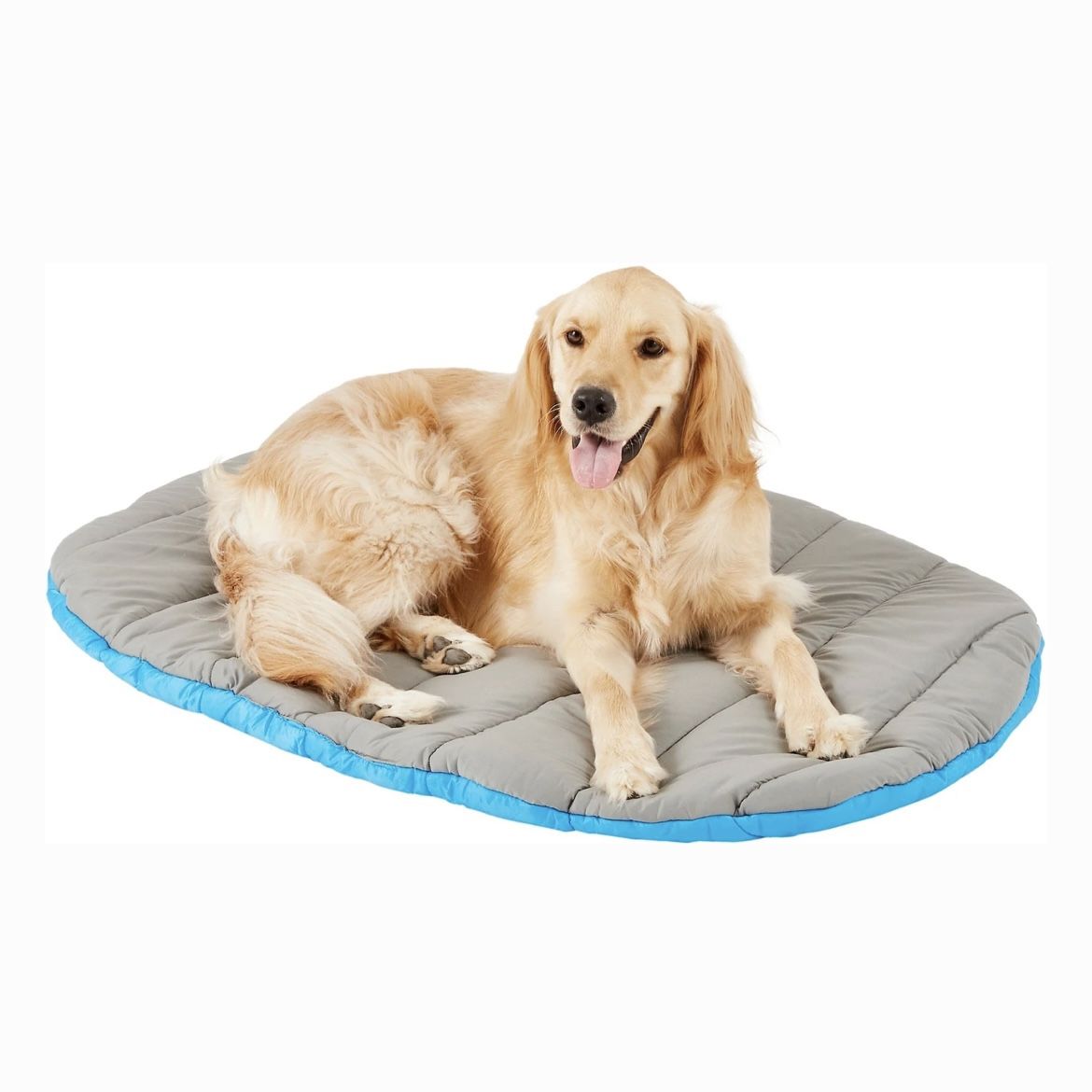 Chuckit! Travel Pillow Dog Bed