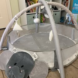 Baby Gym Play Mat