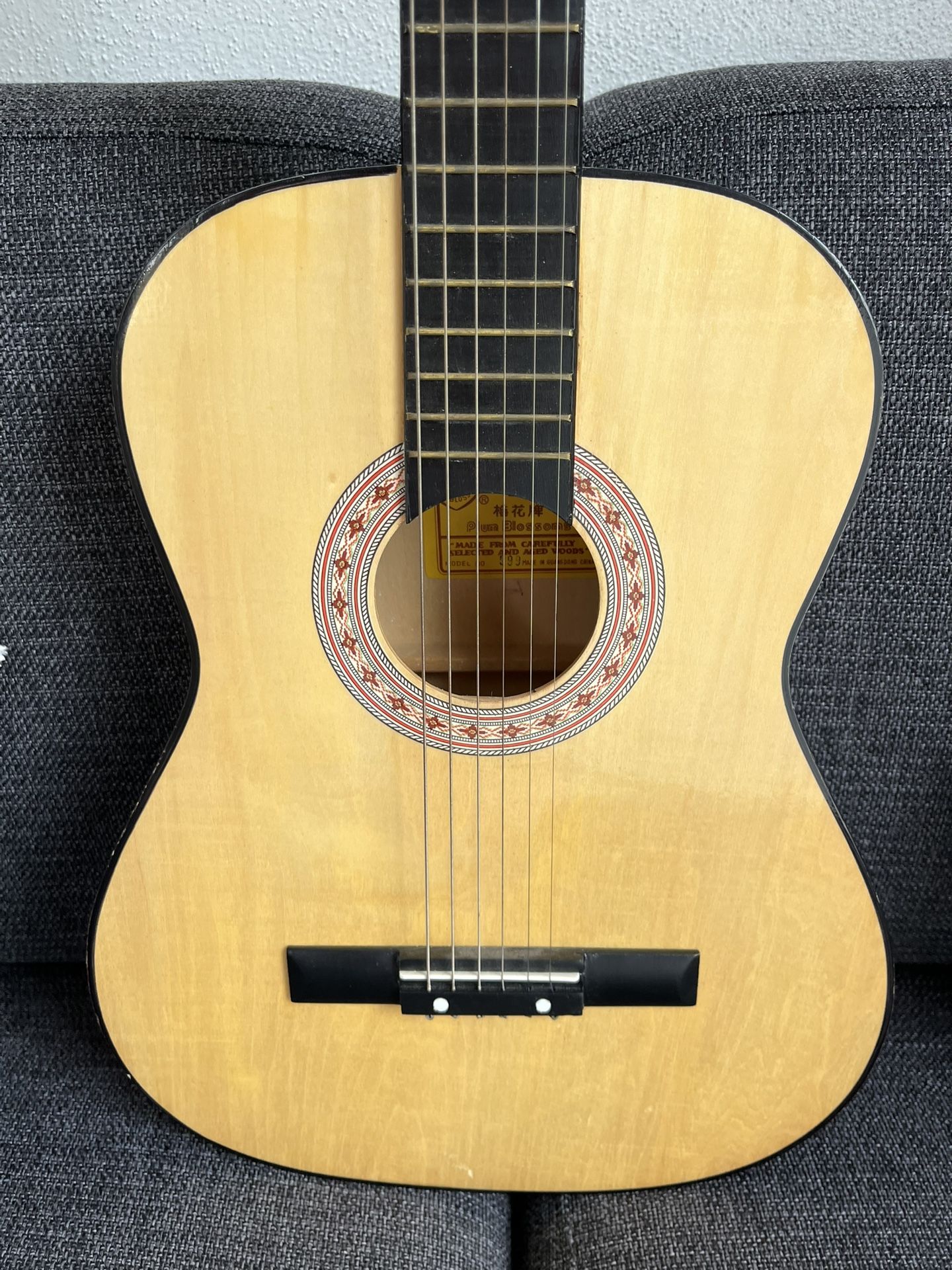 Acoustic Guitar