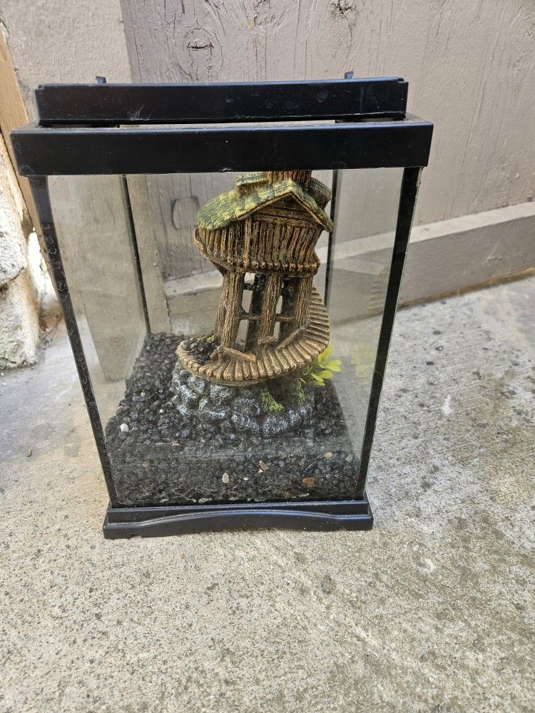 Fish Tank