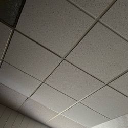 Drop Ceiling Panels