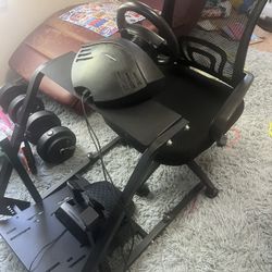 Thrust master Car Race Pit. 