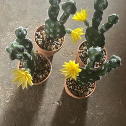 Fake Cactus 