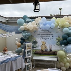 Classic Winnie the Pooh baby shower Decorations (boy)