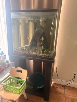 40 gallon tank tall
