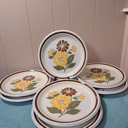 Set Of 5 Deville Capri 300 Dinner Plates Stoneware Japan 10 3/4" Jon Paul 