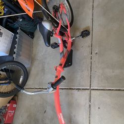 Kids Trailer Bike 