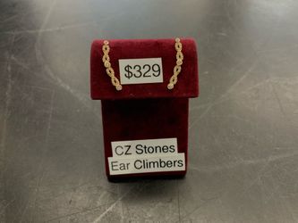 Elegant Earrings ✨