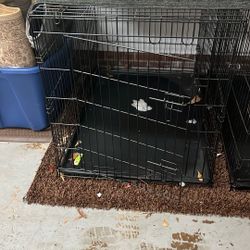 Dog Cage