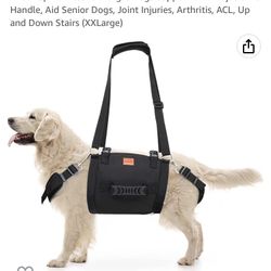 Loobani dog vest Size XXL 