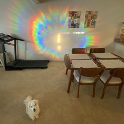 Mid-Century Modern Inspired Dining Set