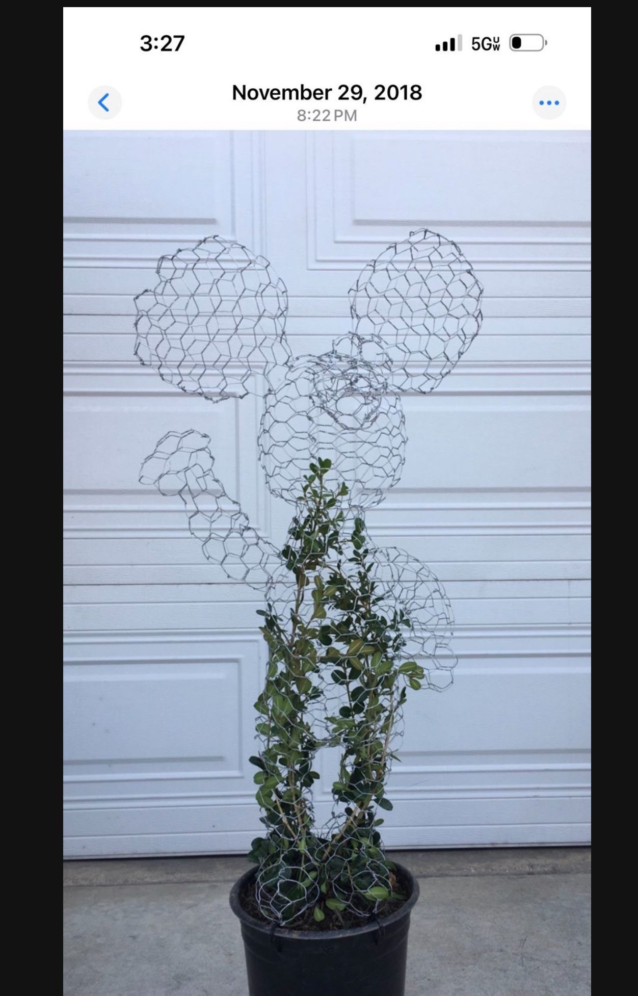 Mickey Mouse Topiary Bonsai