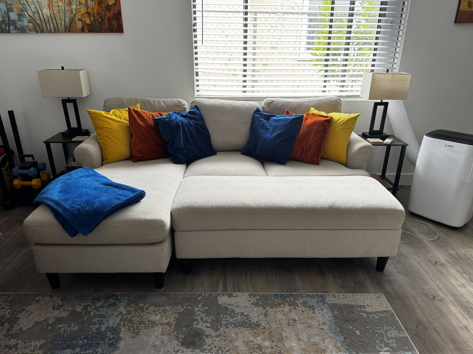 Living Spaces Couch 
