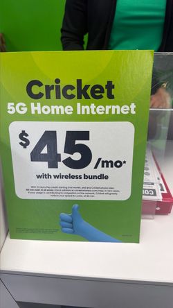 Cricket