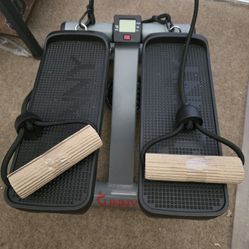 Mini Stepper Exercise