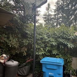 Basketball Hoop Free!