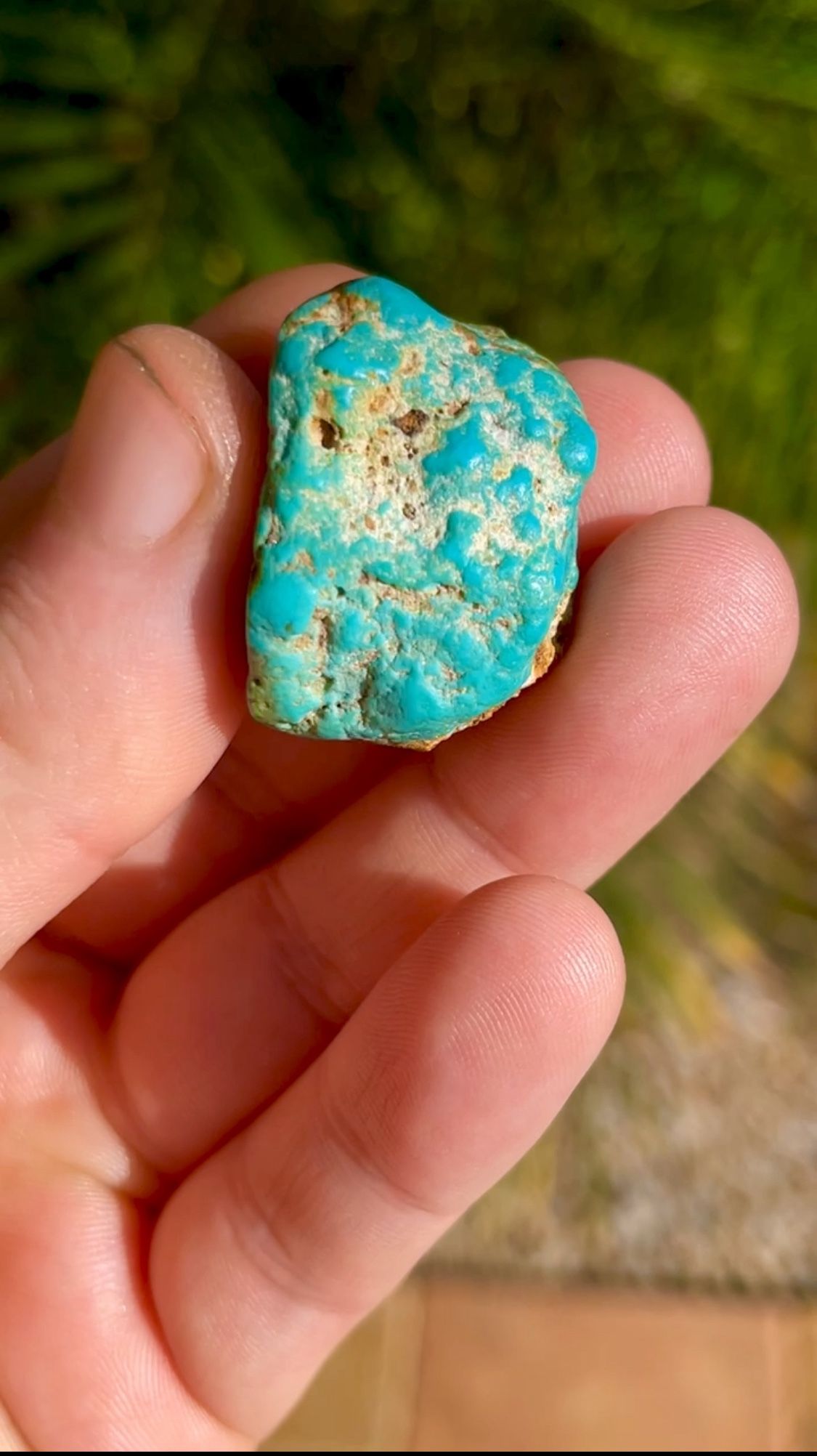 Turquoise 