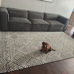 8x10 Area Rug