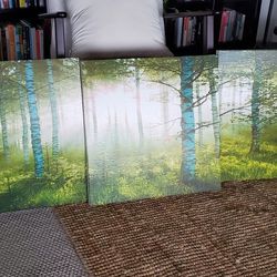 Aspen Forest Canvas Print Mounted On Wood Triptych (3 Pieces)