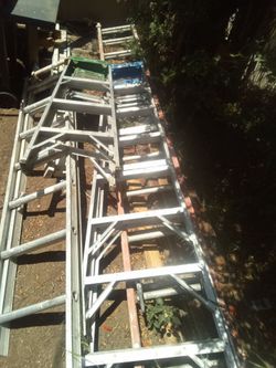 Werner 8ft ladder